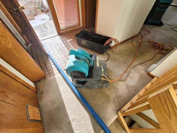 Best Mold removal after water damage  in Lincoln Heights, OH