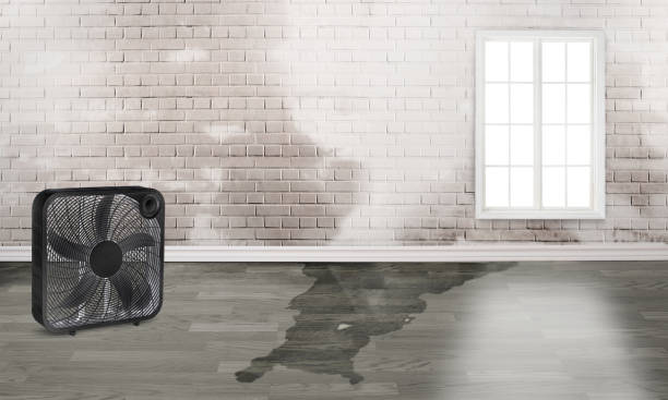 Best Fire Damage Restoration  in Lincoln Heights, OH